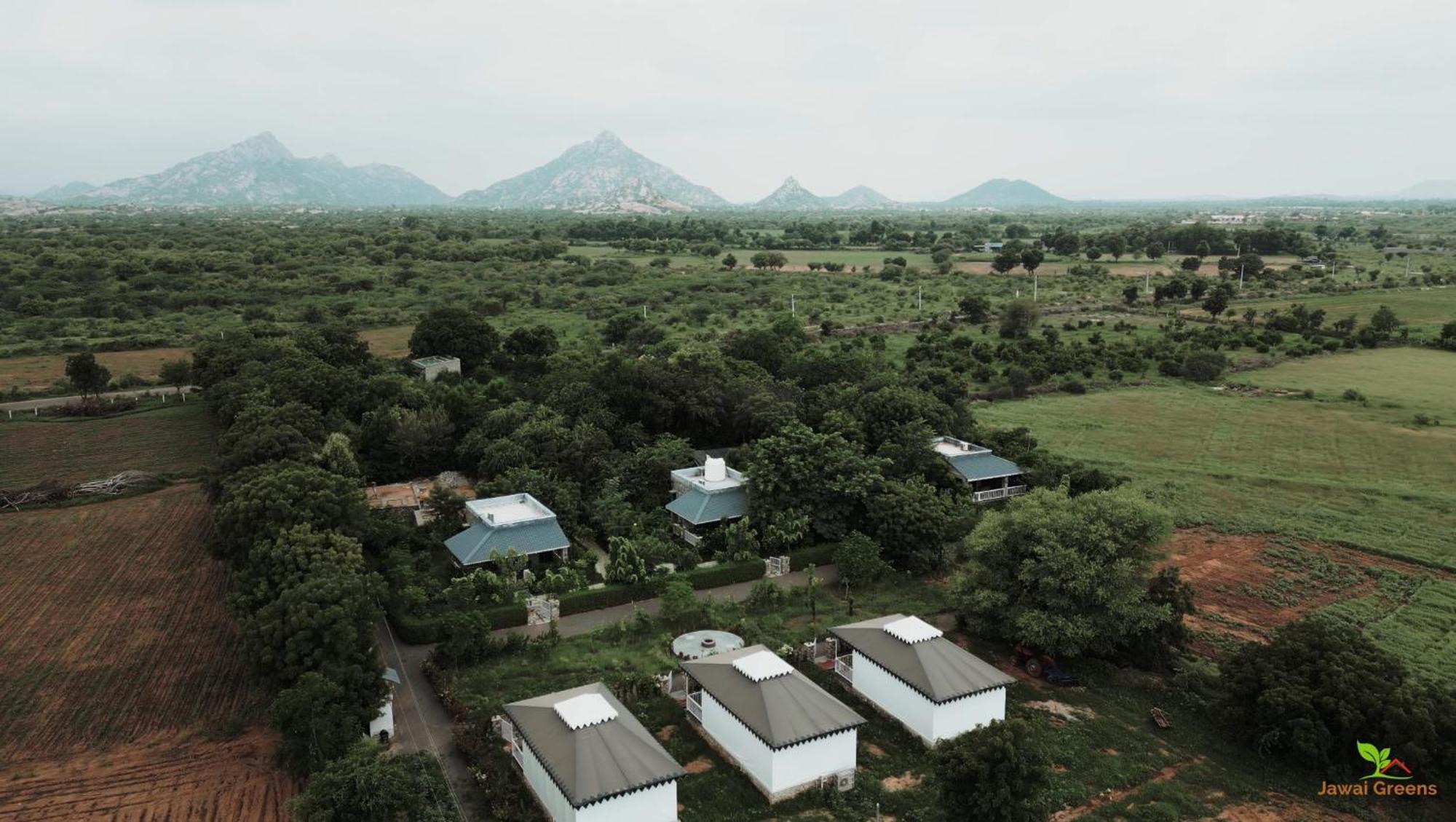 Jawai Greens Jawai Bandh Eksteriør bilde