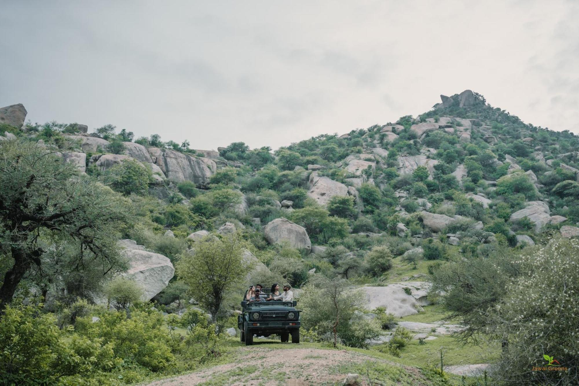 Jawai Greens Jawai Bandh Eksteriør bilde