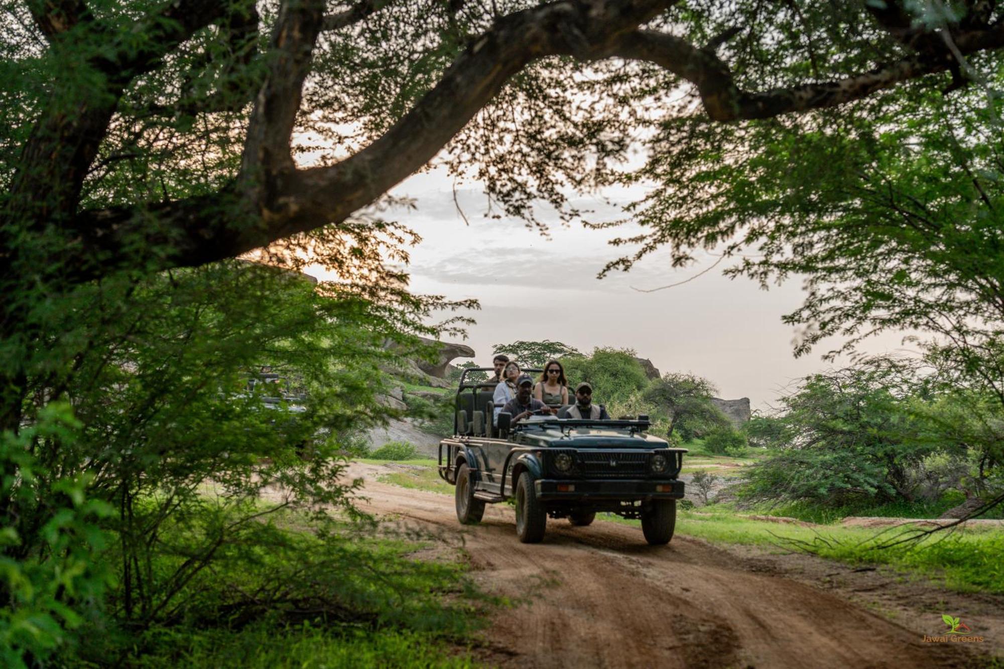 Jawai Greens Jawai Bandh Eksteriør bilde